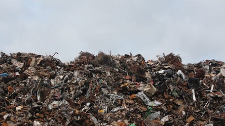 Харків потопає у смітті: жителі викидають відходи де попало. Відео та фото - 285x160