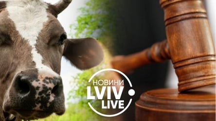На Львівщині жінку побили за те, що вона пасла корову: зловмисника судитимуть - 285x160