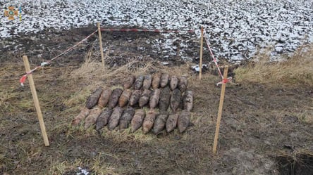 На Львовщине обнаружили целый склад устаревших боеприпасов: где именно - 285x160