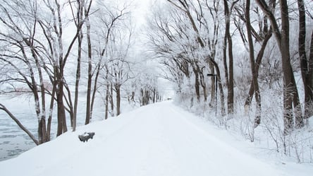 Українців попередили про сильний сніг та ожеледицю: яким регіонам бути обережними - 285x160