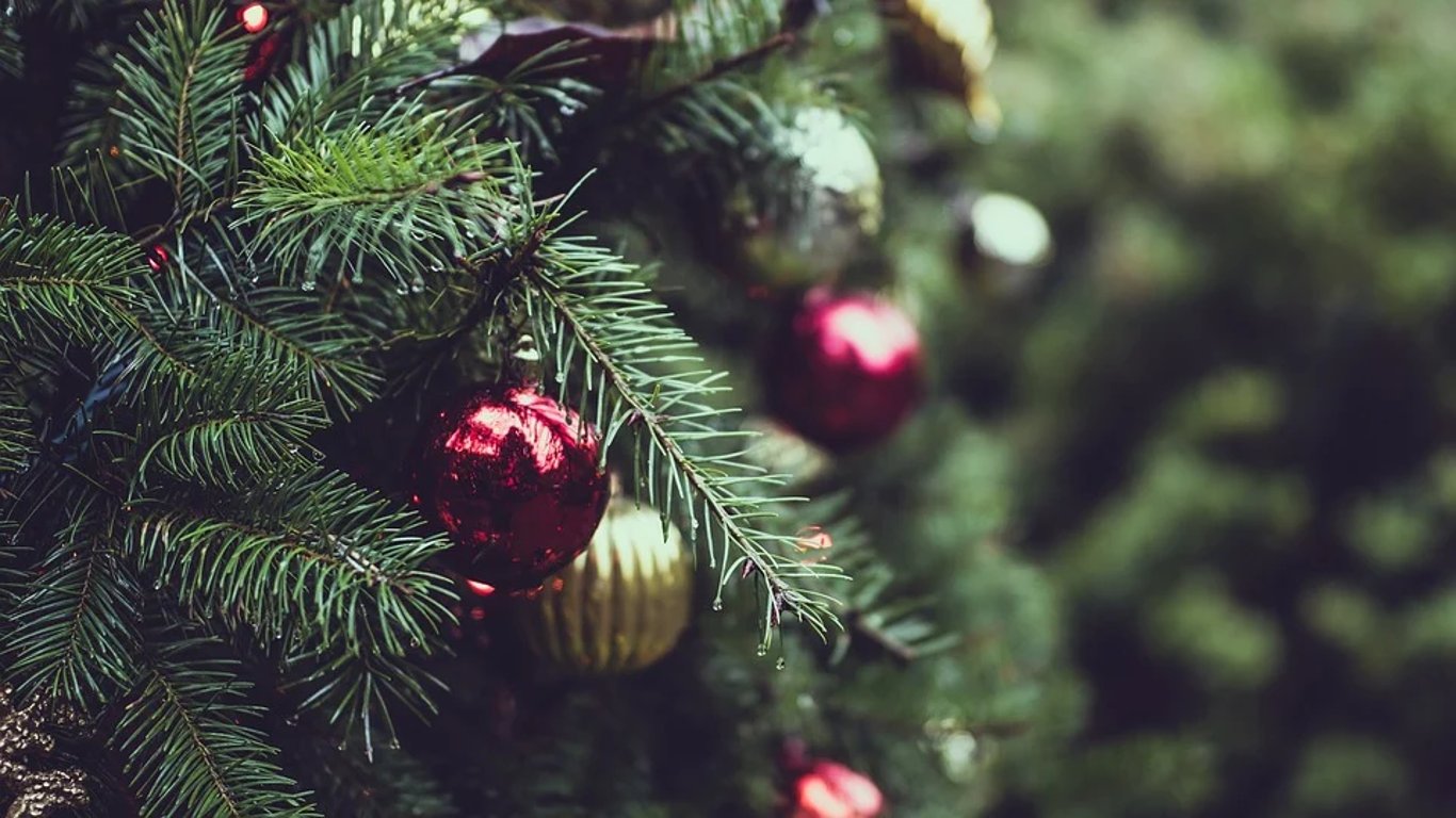 Выяснилась опасность новогодних елок для здоровья