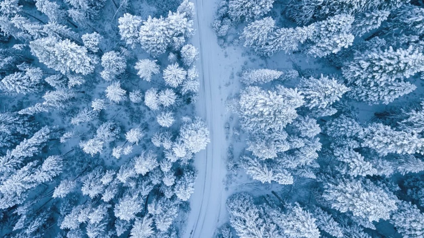 Снег и метель во Львове 3 декабря - что прогнозируют синоптики