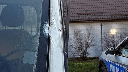 В Польше полиция ворвалась в дом украинца: что произошло - 285x160