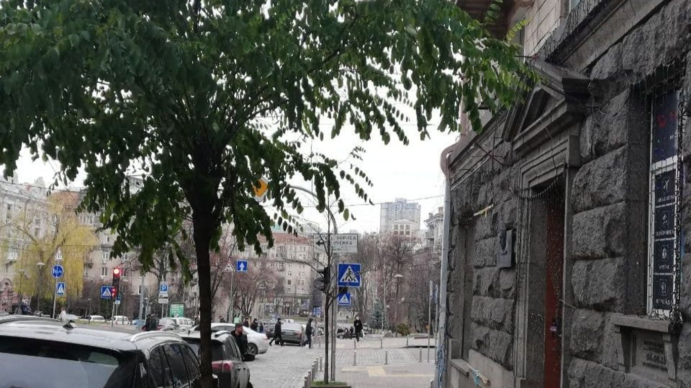 Аномалии погоды в Киеве - акация не сбросила листву- фото