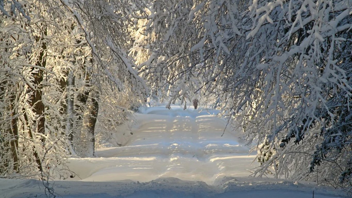 Погода в Україні на Різдво 25 грудня: чи буде сніг та мороз