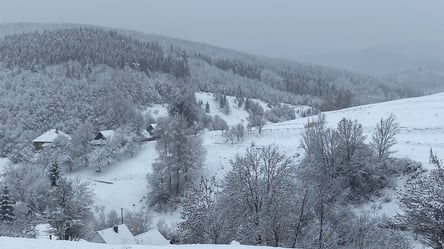 У Карпатах почалася зима: як змінилася під шаром снігу західна Україна. Фото - 285x160
