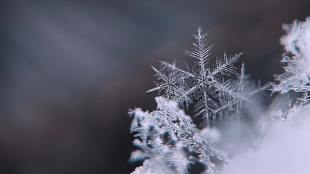 Одессу засыпало первым снегом. Яркие фото и видео - 285x160