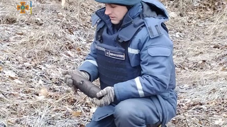 Возле лесополосы в Харькове нашли взрывчатку со Второй мировой войны - 285x160