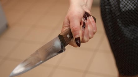 Мати шістьох дітей засадила ніж у чоловіка під Києвом. Відео - 285x160