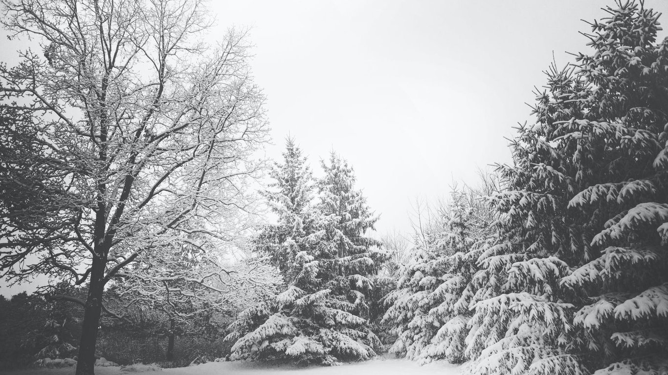 Во Львове выпал снег - фото утреннего города