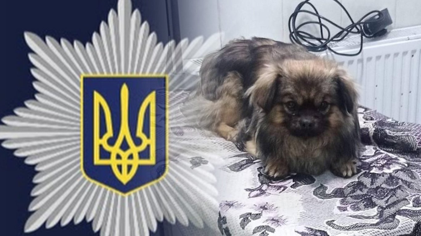 Во Львовской области полиция спасла пса - подробности инцидента