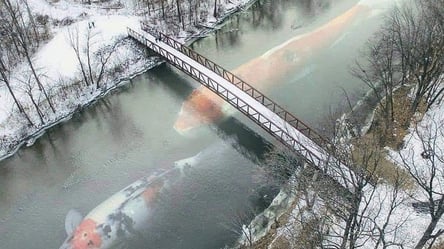 Зимовий топ-фейк: в мережі опублікували фото двох риб на Львівщині завбільшки з кита - 285x160