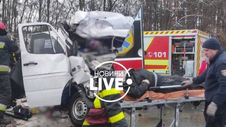 На Чернігівщині у ДТП з маршруткою загинуло 13 людей - 285x160