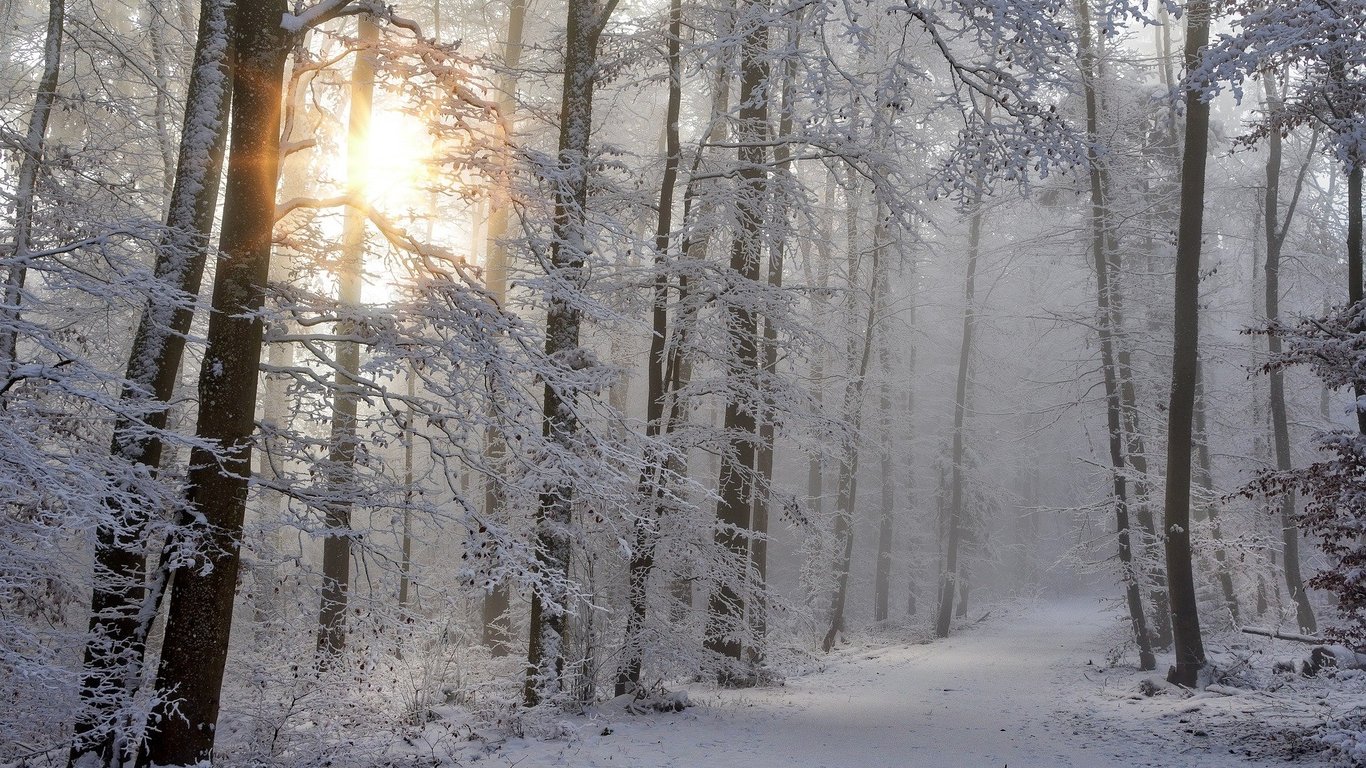 Когда в Украину придет настоящая зима - синоптик дал прогноз
