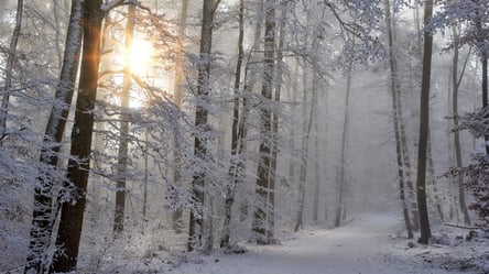 Коли до України прийде справжня зима: синоптик дав прогноз - 285x160