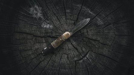 Ножем прямо у груди: на Львівщині чоловік напав на односельчанина. Фото - 285x160