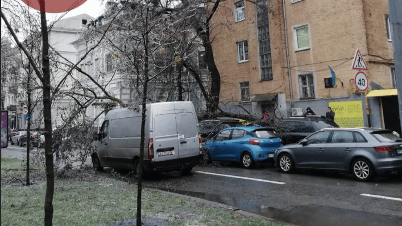 Непогода в Киеве - от ледяного дождя падают деревья