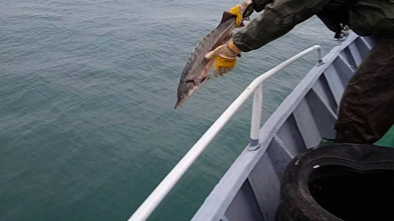 Патруль Одеської морської охорони виявив майже півкілометра сіток браконьєрів