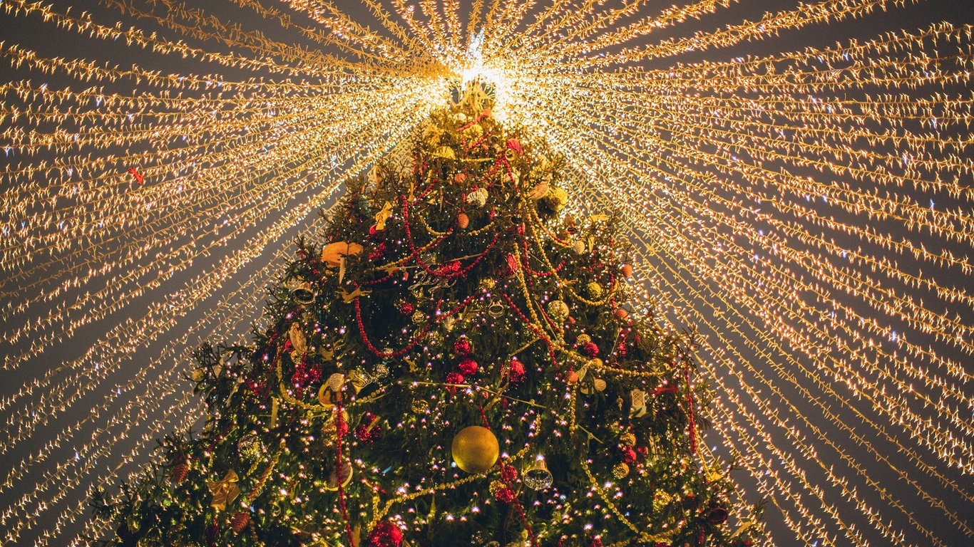 Новогодняя елка во Львове – депутаты не выделили средства на новую иллюминацию