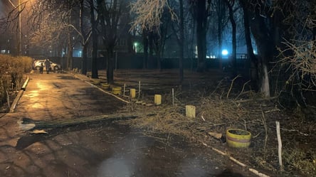 Древопад в Киеве: пару с малышом чуть не убило веткой. Фото - 285x160