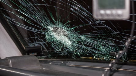 В Киеве упавшая ветка вдребезги разбила лобовое стекло авто. Фото - 285x160