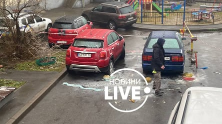 В центре Киева подожгли авто: что известно. Фото - 285x160