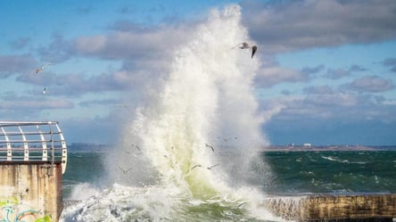 Сильний вітер та неспокійне море: на Одесу насувається циклон "Ілля" - 285x160