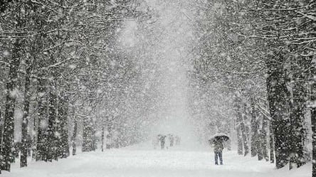 Дождь и гололедица: какой будет погода во Львове 10 декабря - 285x160