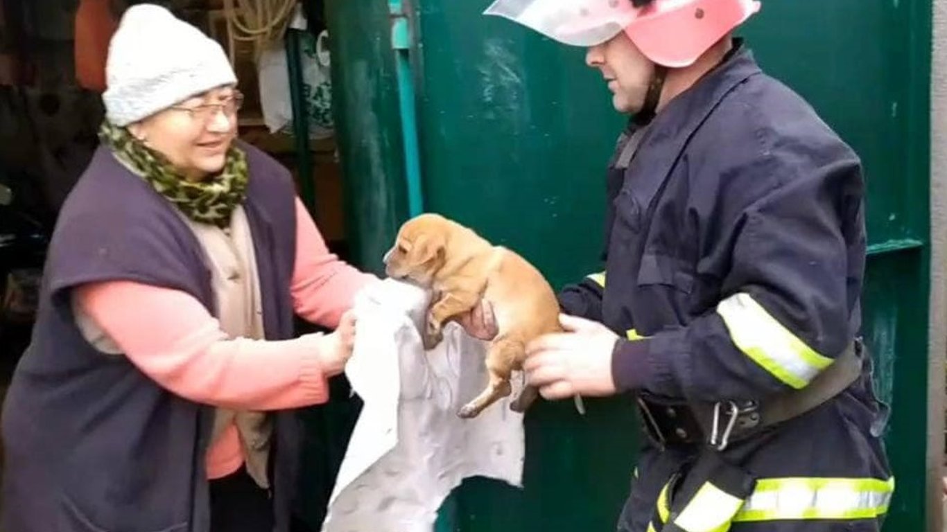 В Одесской области спасатели достали щенка из сливной трубы