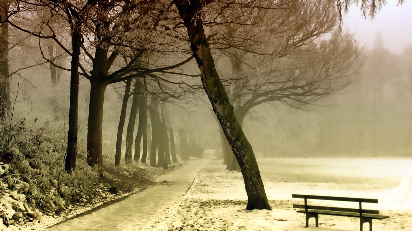 В Україні погіршиться погода - де буде сильний сніг, ожеледиця та лавинна небезпека
