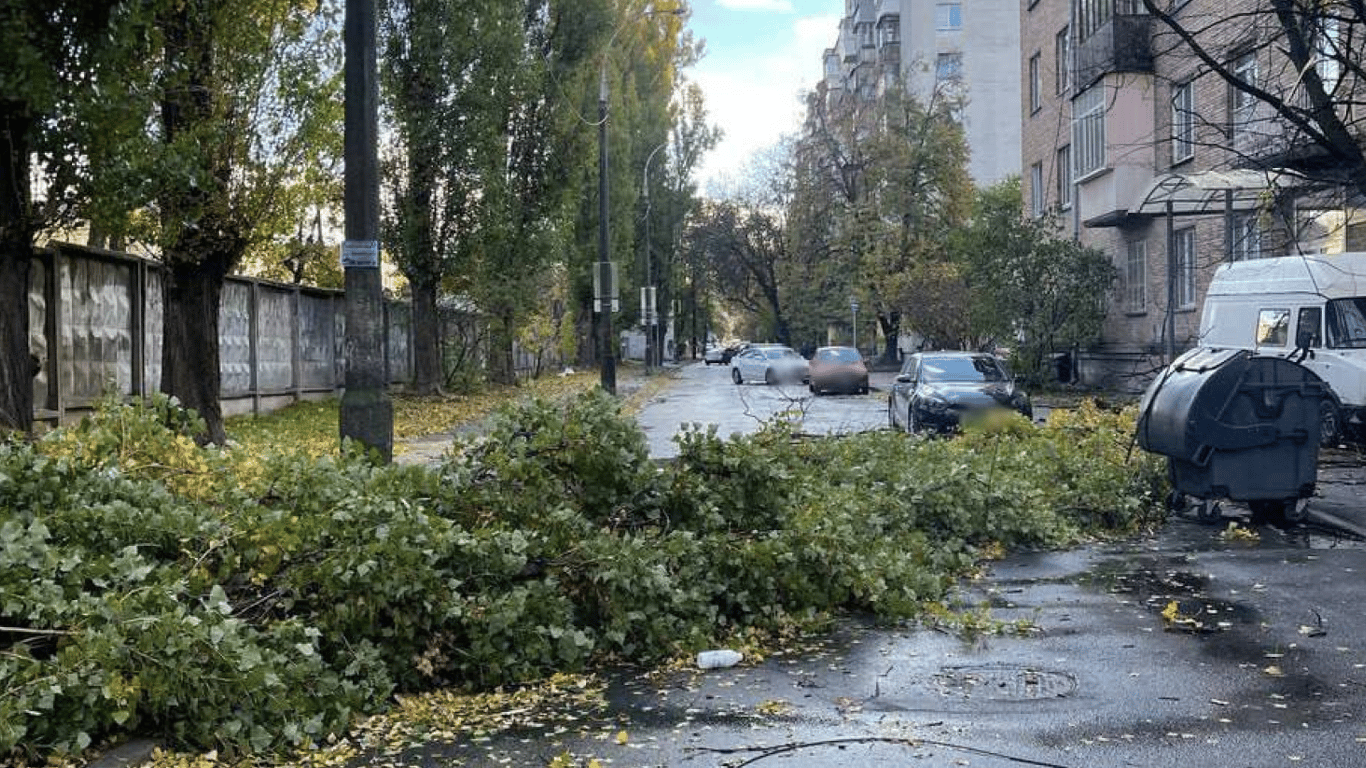 Ветер в Киеве валит деревья и сносит крыши зданий — горожане фиксируют на видео последствия непогоды