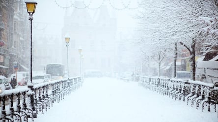 Коли в Україну прийде справжня зима зі снігом: синоптик дала прогноз - 285x160