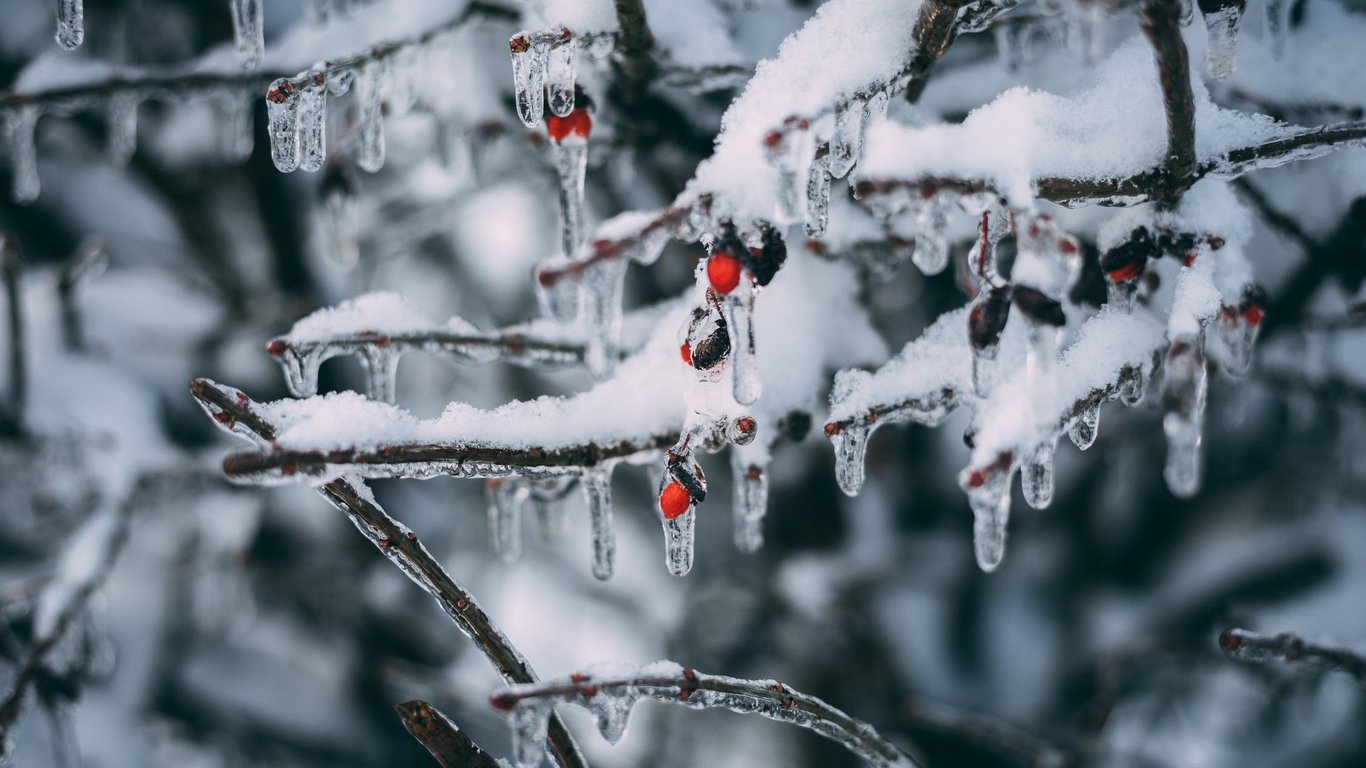 В Україні вдарять морози до -18 градусів - названо дату