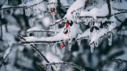 Вдарять морози до -18 градусів: синоптикиня попередила про різке похолодання в Україні - 285x160