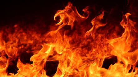 Во Львове горела квартира в многоэтажке: есть погибшие - 285x160