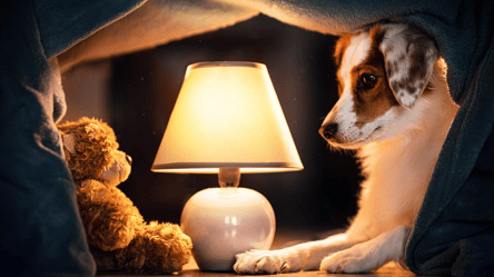 Большей части граждан включат свет после семи вечера: список адресов в Одессе на 15 декабря - 285x160