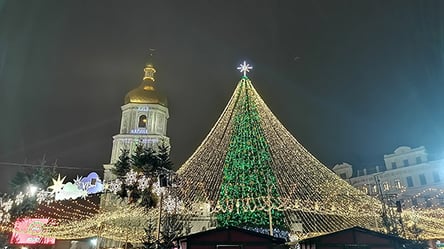 Открытие главной елки в Киеве перенесли: подробности - 285x160
