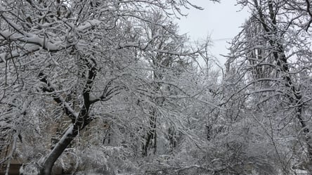 Облачно и без осадков: прогноз погоды во Львове на 15 декабря - 285x160