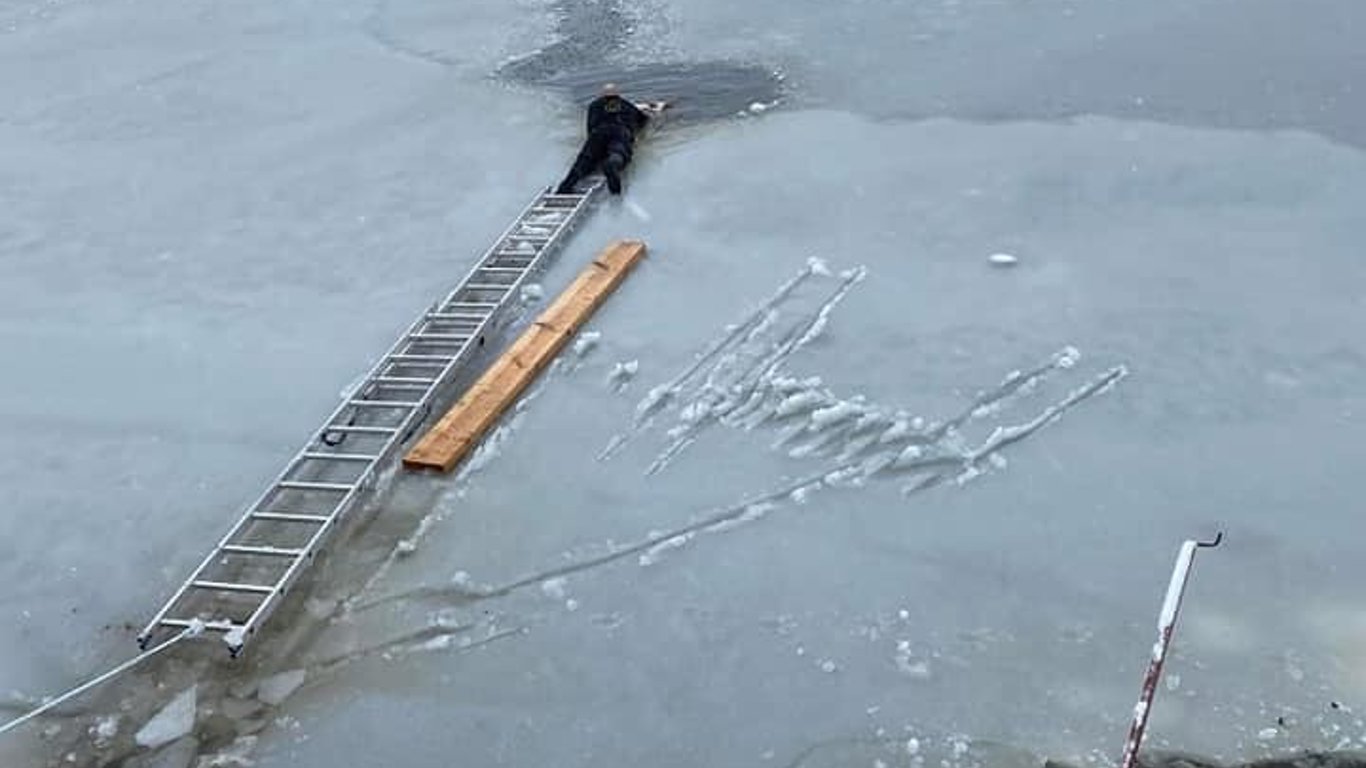 У Червонограді врятували собаку, яка тонула у крижаному озері - фото