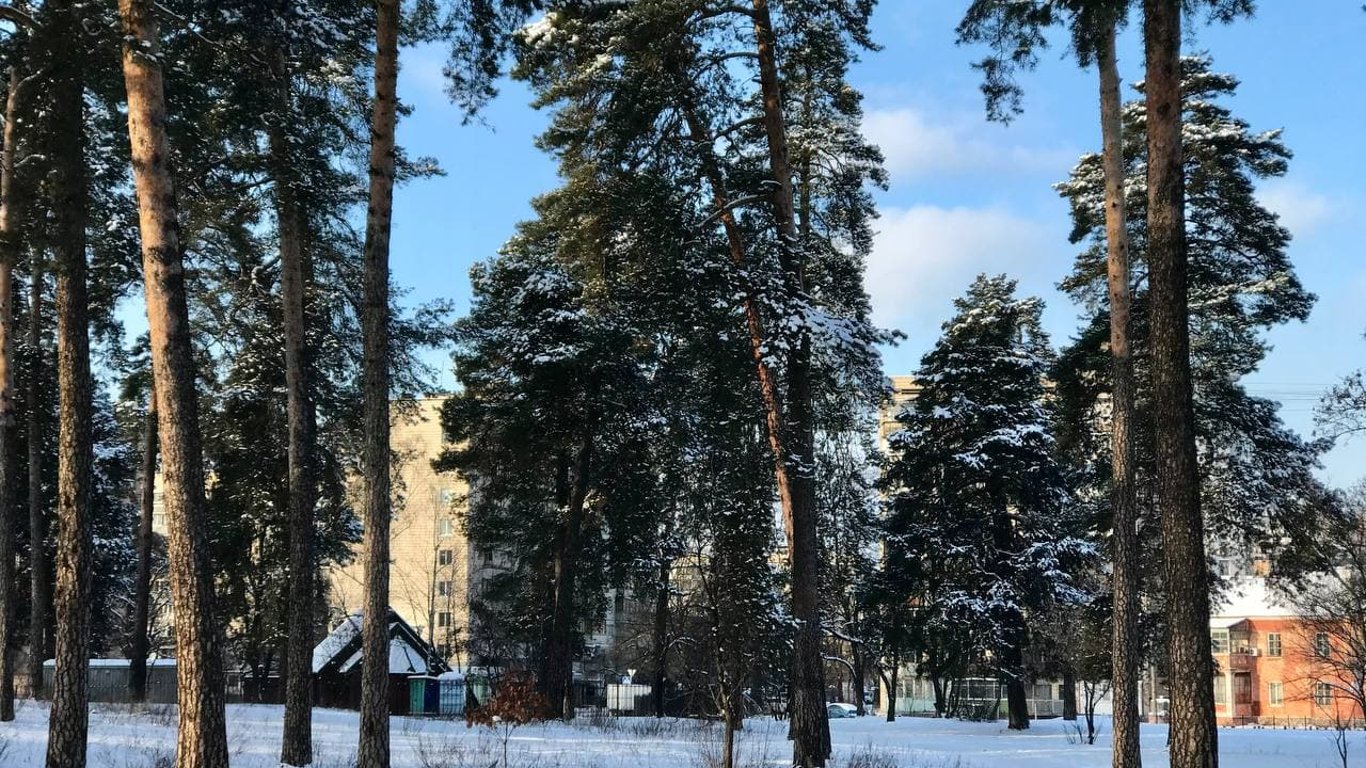 Погода в Киеве на Новый год - будет ли снег и мороз