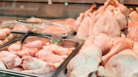 Мешканців Одещини попередили про небезпечну курятину із сальмонелою: що відомо - 285x160