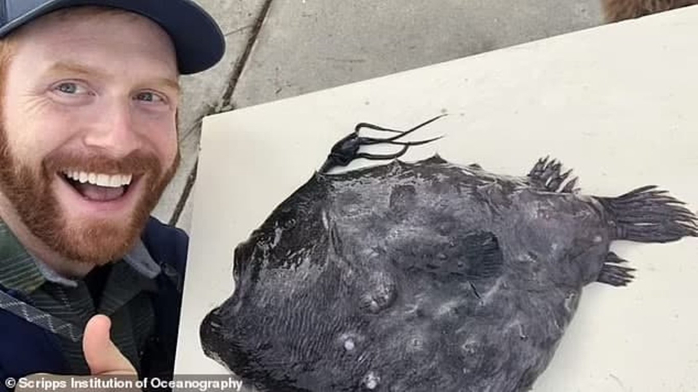 На берегу Тихого океана нашли мертвой редкую рыбу-подробности