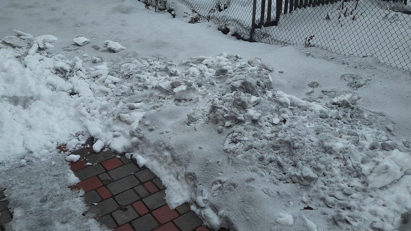 На Прикарпатье почернел снег: люди обвиняют Бурштынскую ТЭС. Фото