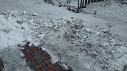На Прикарпатті почорнів сніг: люди звинувачують Бурштинську ТЕС. Фото - 285x160