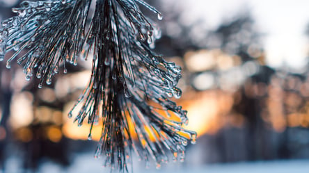 Сильный гололед на дорогах и мокрый снег: в Харькове ухудшится погода 17 декабря - 285x160