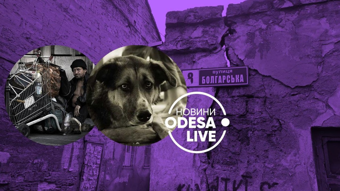 Чому проблема з бездомними на Болгарській є характерною для всієї Одеси