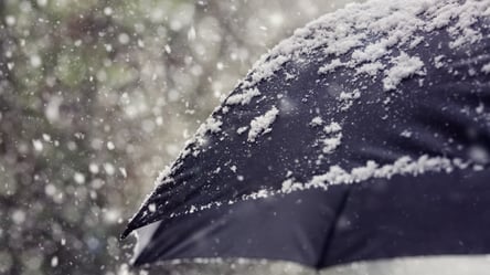 Мокрый снег и плюсовая температура: какой будет погода во Львове 17 декабря - 285x160