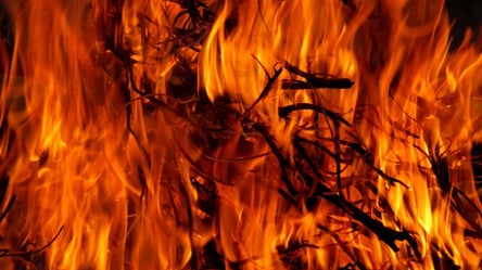 На Львівщині в пожежі у власному будинку загинув чоловік. Фото - 285x160