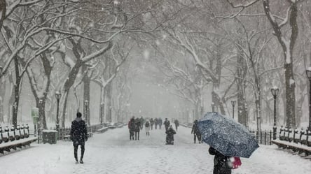 В Украину идет настоящая зима с 20-градусными морозами и снегом: подробный прогноз погоды - 285x160