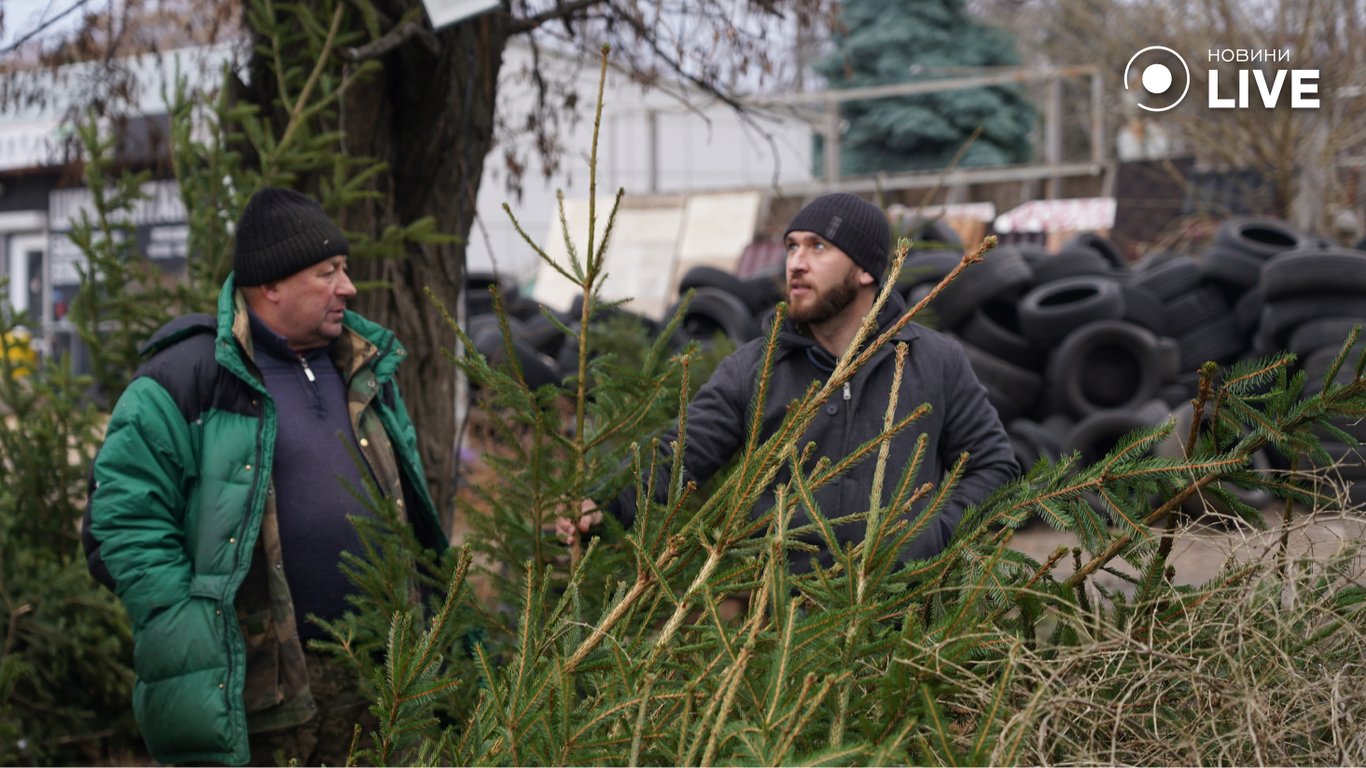 Цены на елочных базарах в Одессе, сколько стоят праздничные деревья и покупающие